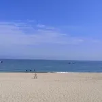 The Blue Gate 4